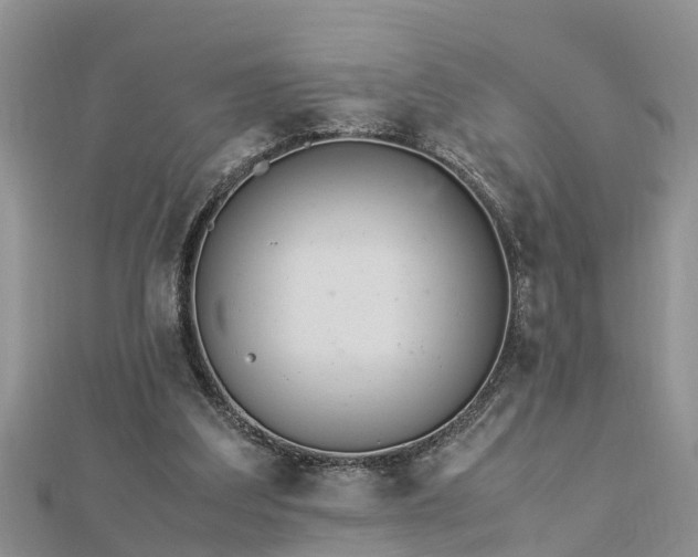 X0000112790203200908281514