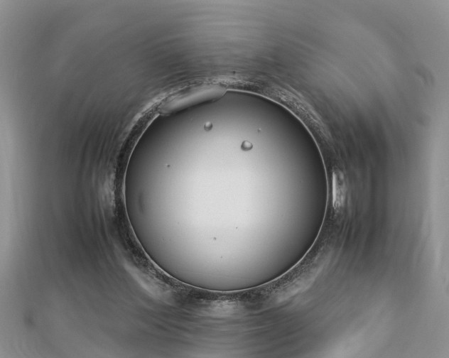 X0000112790204200908281514