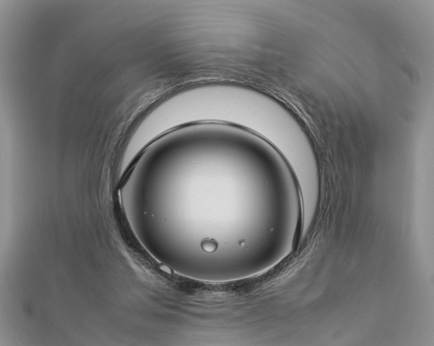 X0000112790205200908281514