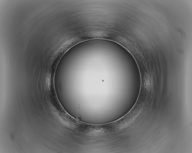 X0000112790206200908281514