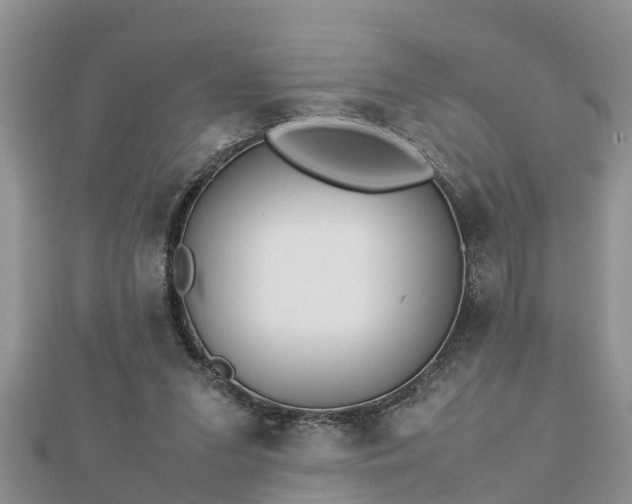 X0000112790207200908281514