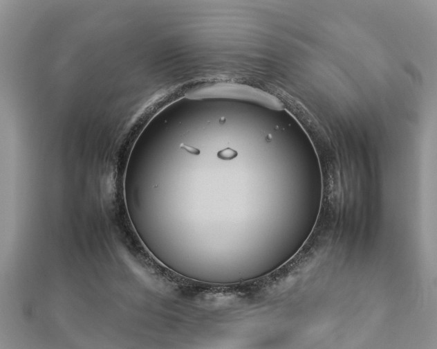 X0000112790208200908281514