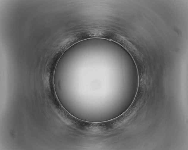 X0000112790209200908281514