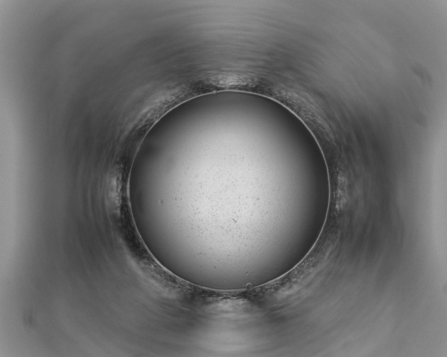 X0000112790210200908281514