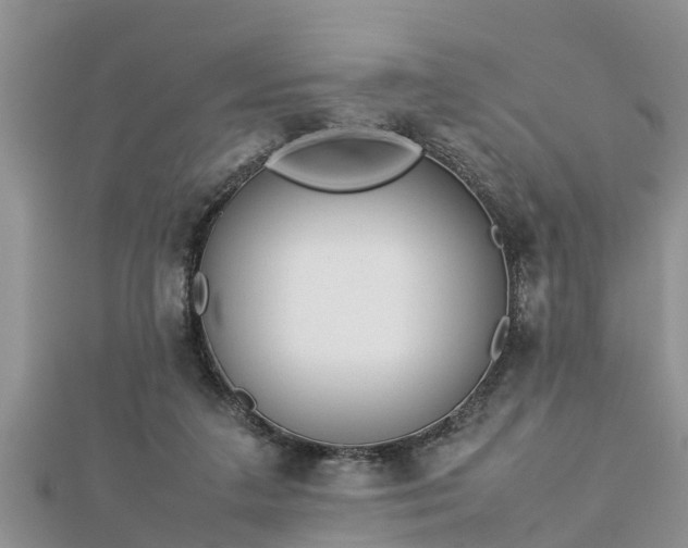 X0000112790211200908281514