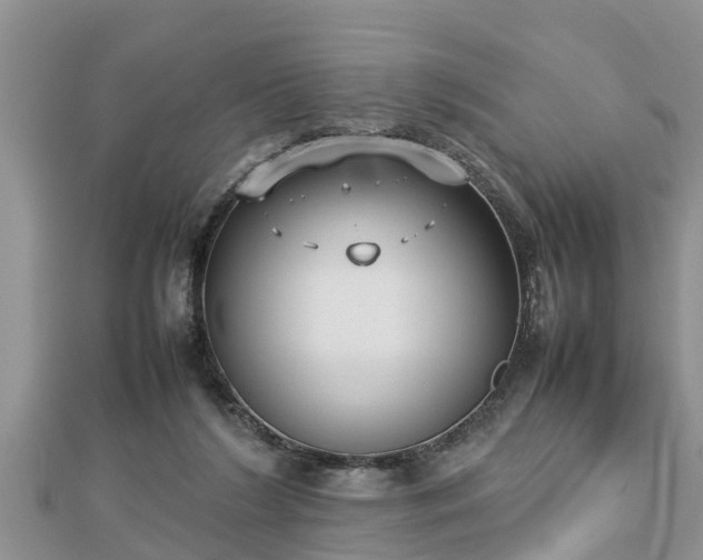 X0000112790212200908281514