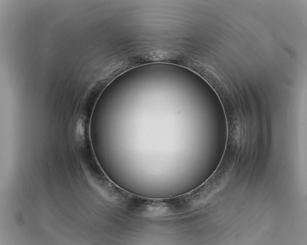 X0000112790214200908281514