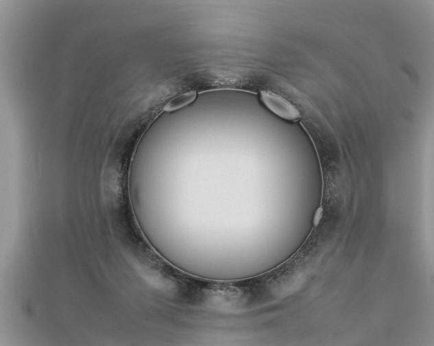 X0000112790215200908281514