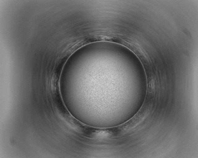 X0000112790218200908281514