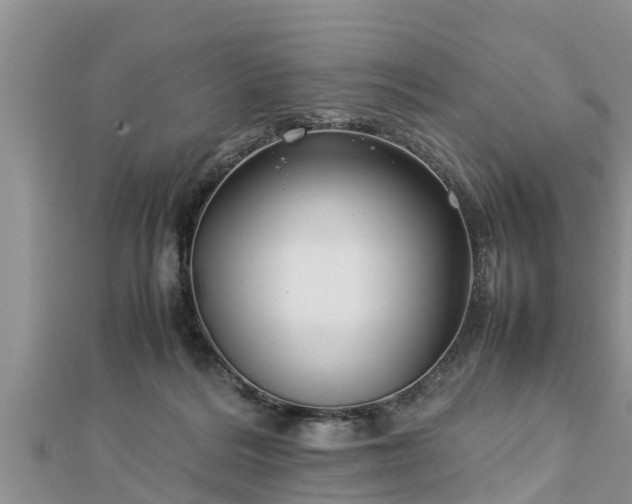 X0000112790220200908281514