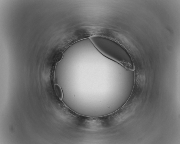 X0000112790221200908281514