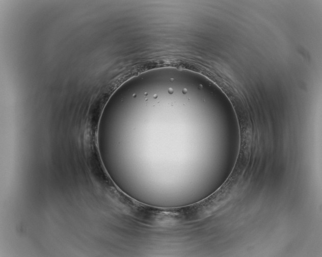 X0000112790222200908281514