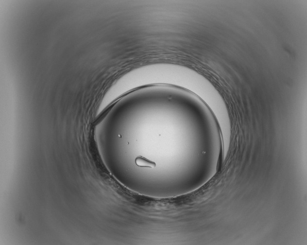 X0000112790223200908281514