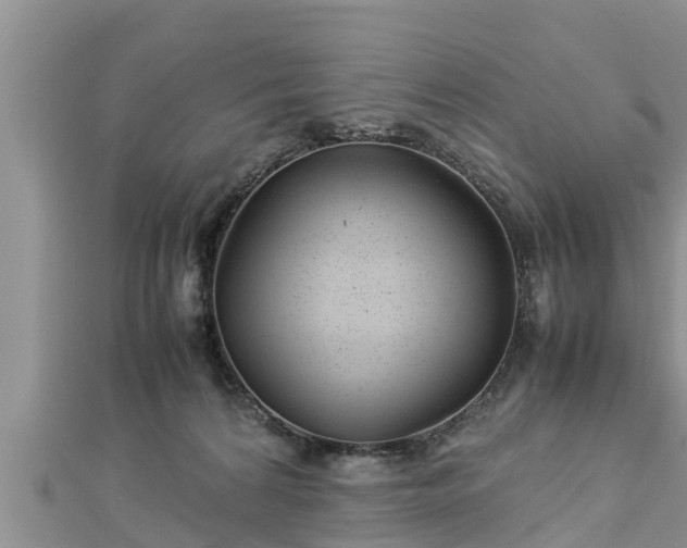 X0000112790224200908281514