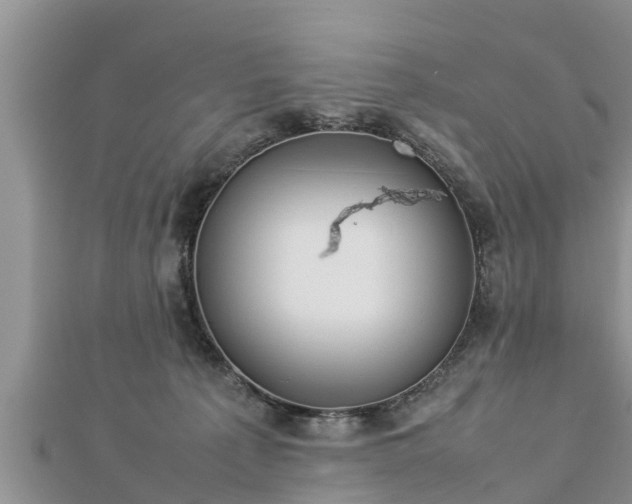 X0000112790225200908281514