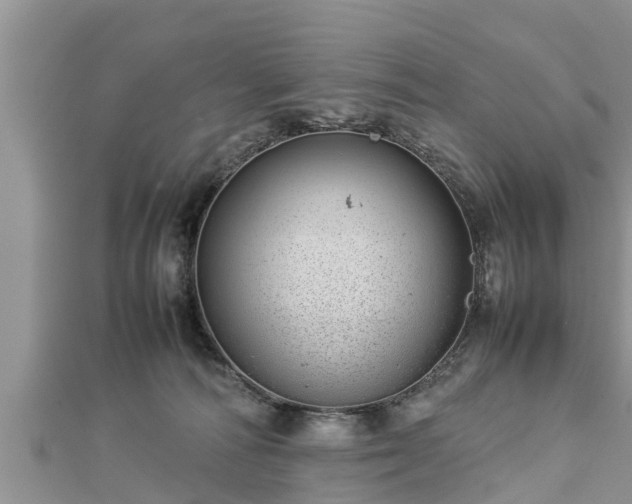 X0000112790226200908281513