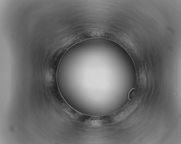 X0000112790228200908281513