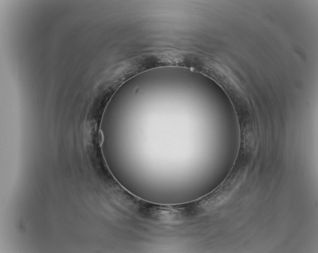 X0000112790229200908281513