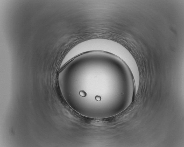 X0000112790231200908281513