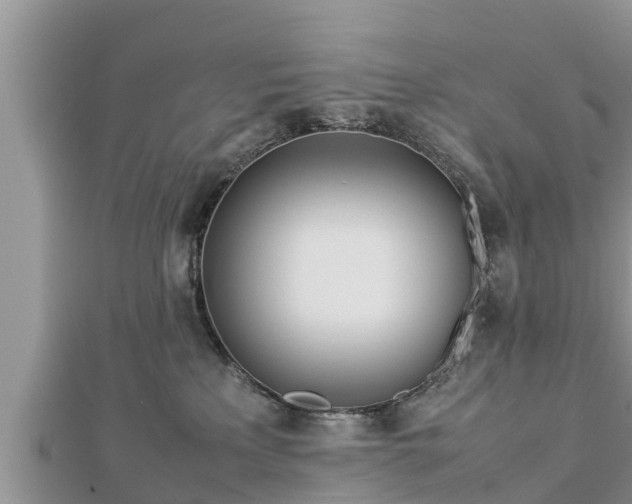 X0000112790233200908281513