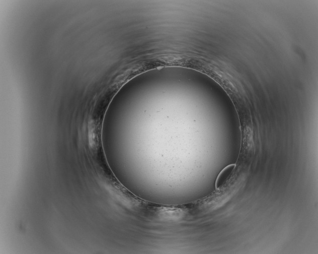 X0000112790234200908281513