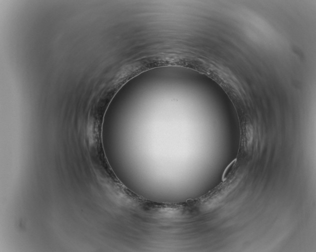 X0000112790236200908281513