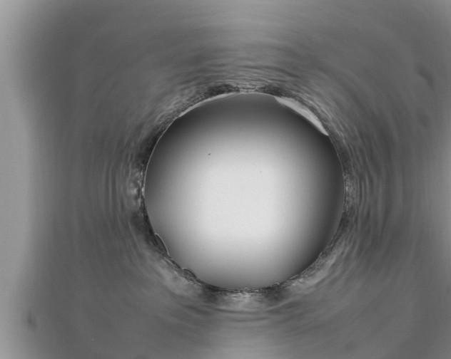 X0000112790237200908281513