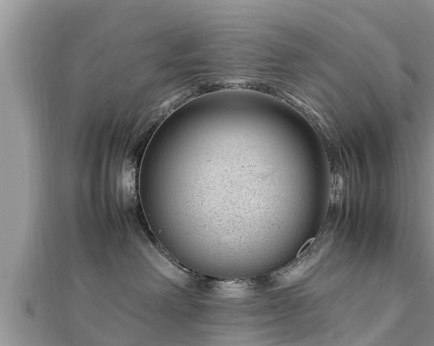 X0000112790238200908281513