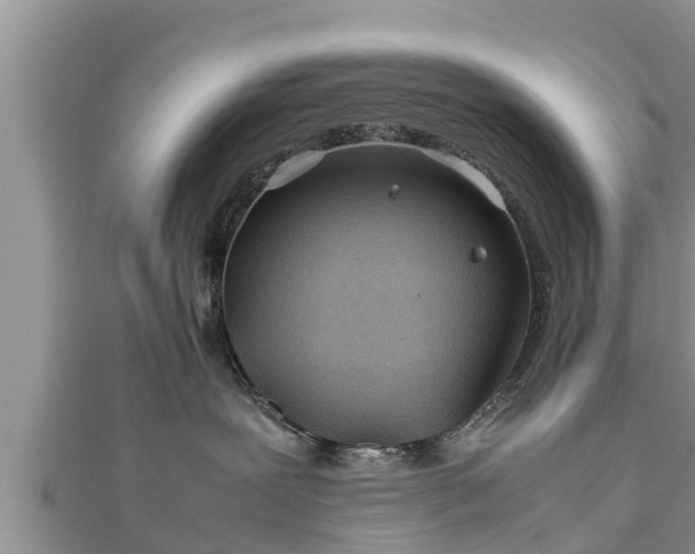 X0000112790239200908281513