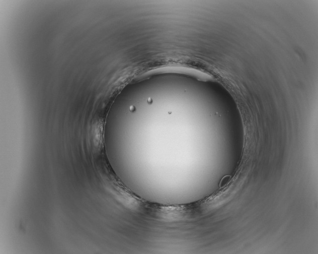 X0000112790240200908281513