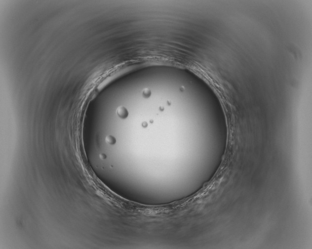 X0000112790241200908281513