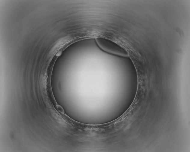 X0000112790242200908281513