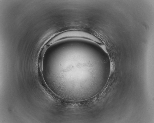 X0000112790243200908281513