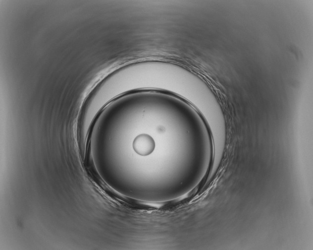 X0000112790244200908281513