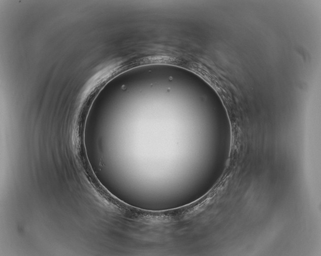 X0000112790245200908281513