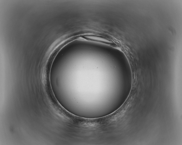 X0000112790247200908281513