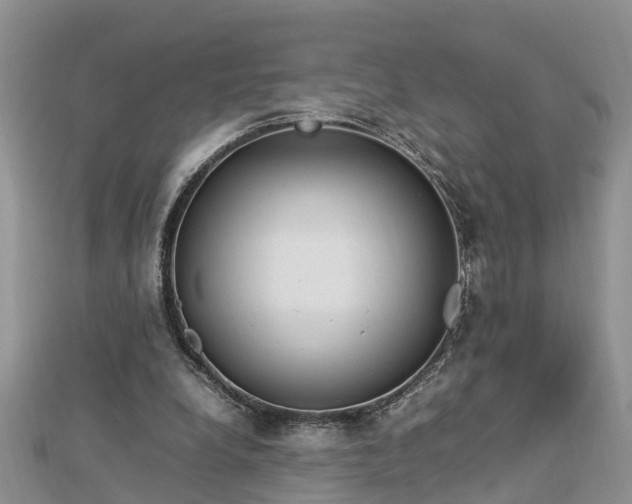 X0000112790248200908281513