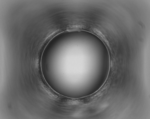 X0000112790249200908281513