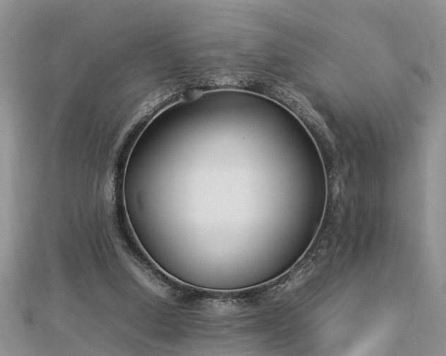 X0000112790250200908281513