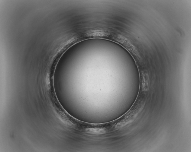 X0000112790251200908281513