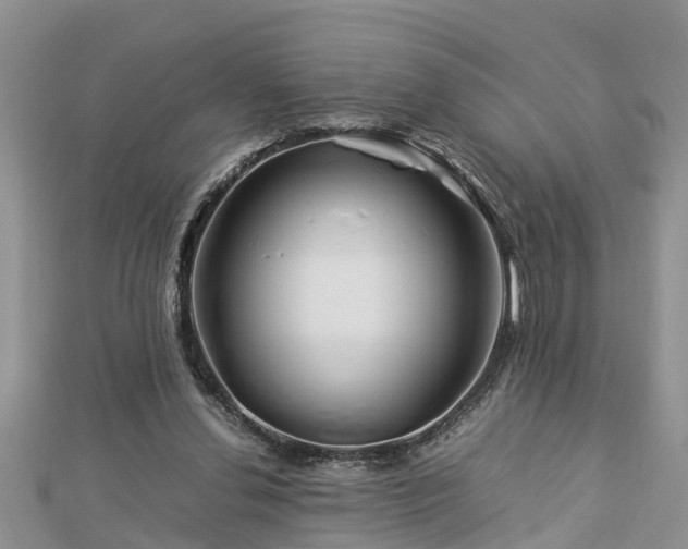 X0000112790252200908281513