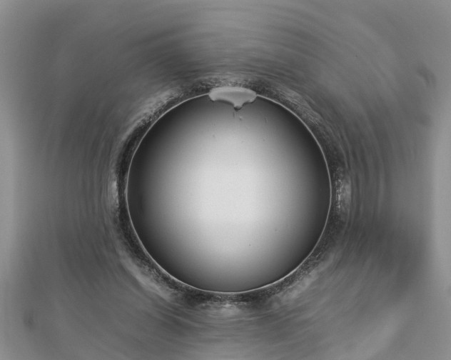 X0000112790254200908281513