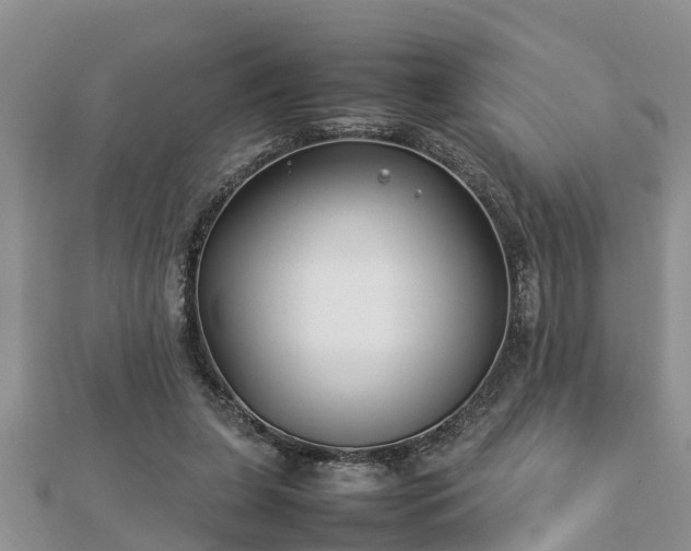 X0000112790255200908281513