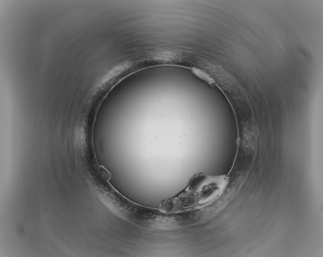 X0000112790256200908281513