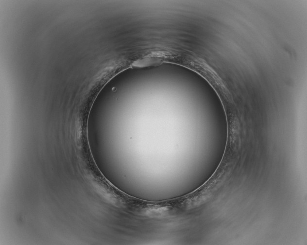 X0000112790257200908281513