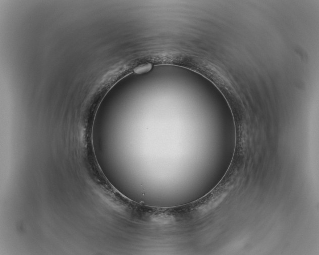 X0000112790258200908281513