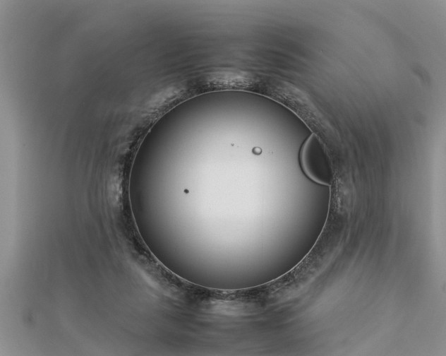 X0000112790259200908281513