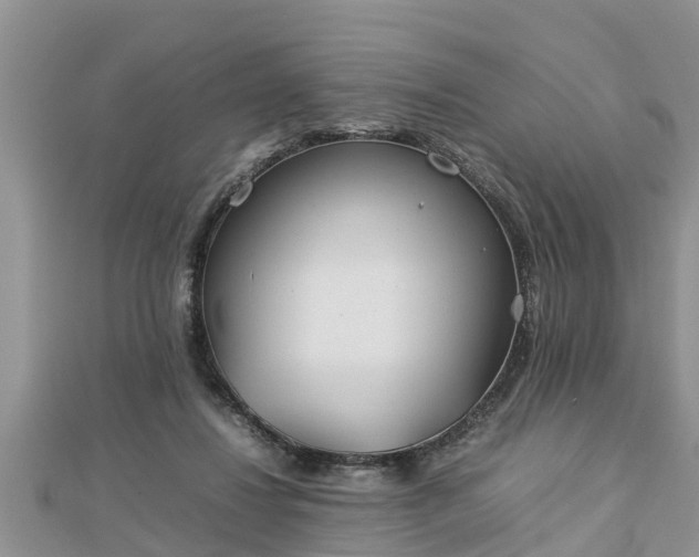 X0000112790260200908281513