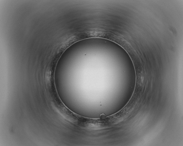 X0000112790263200908281513