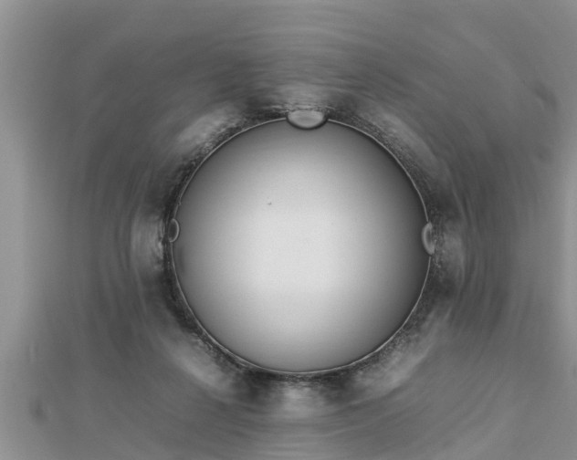 X0000112790264200908281513